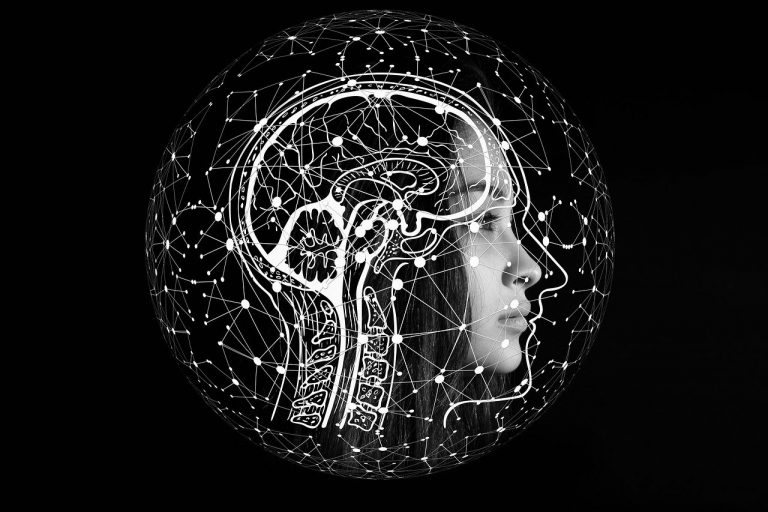 Le ML et l&rsquo;IA sont similaires, mais pas tout à fait identiques