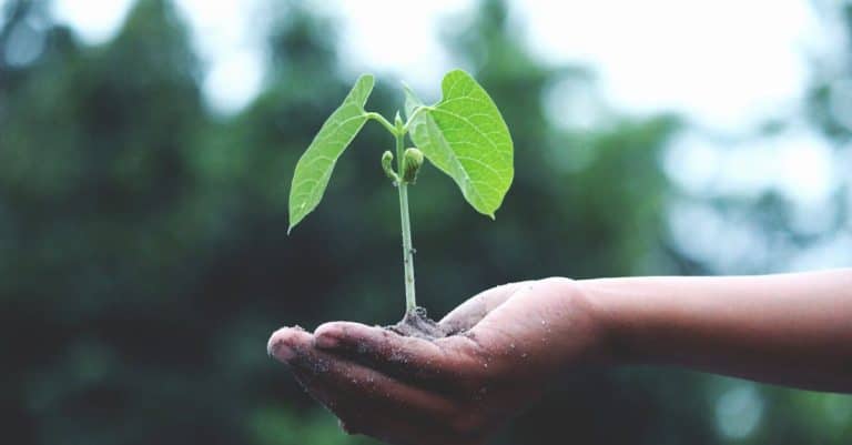 Quels défis le secteur de la tech doit-il relever pour contribuer au développement durable ?