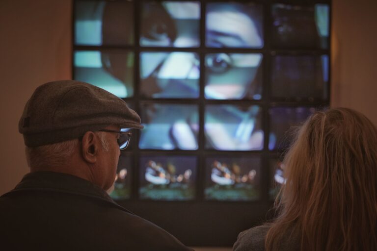 La culture digitale, l&rsquo;art et le design interactif : quels liens la communauté des geeks y voit-elle ?